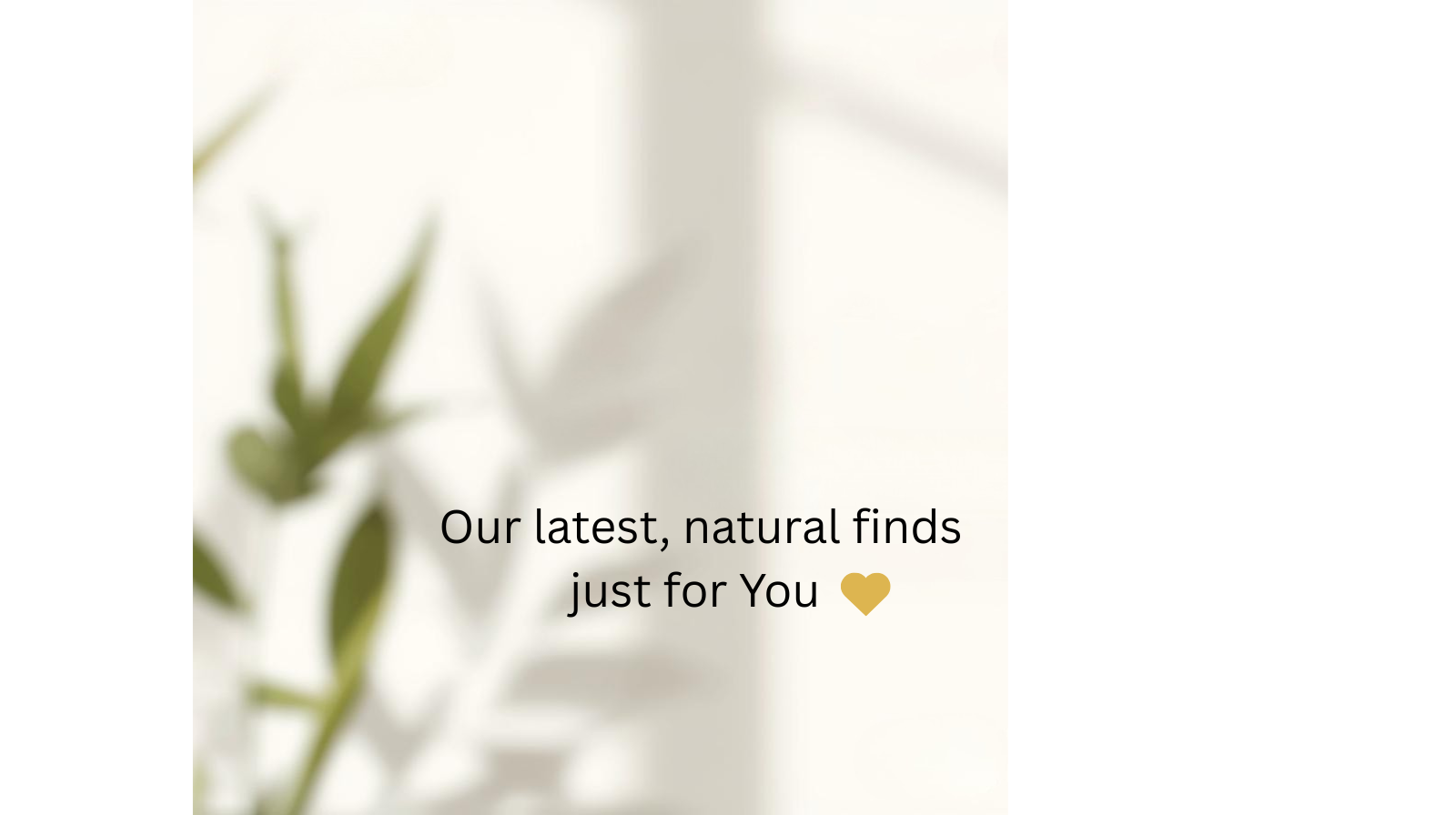 Our latest new, natural products, just for you