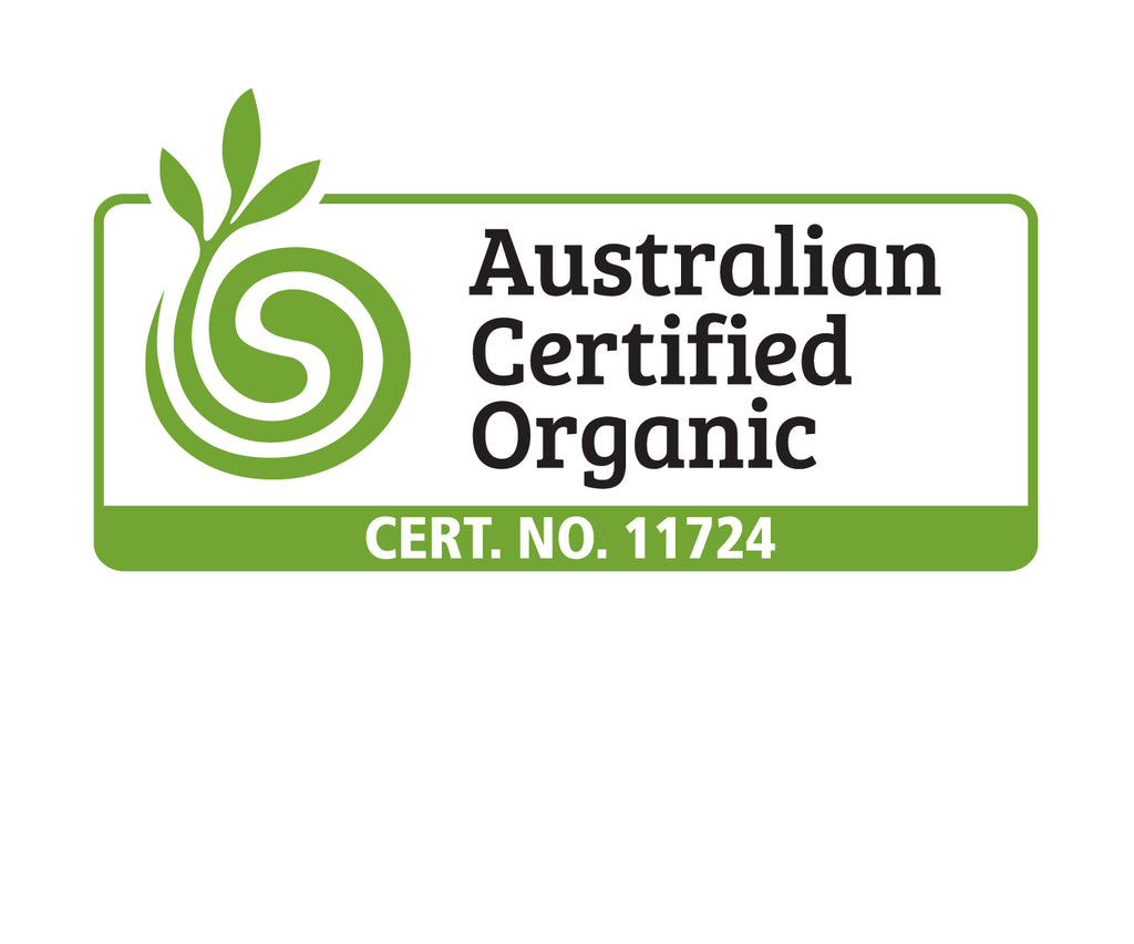 Healing Concepts Organic Mullein 40g