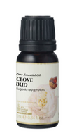 Ausganica 100% Certified Organic Clove Bud Essential Oil