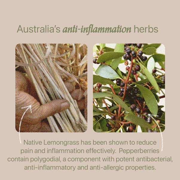 Roogenic Australian Native Inflammation Tea (18 bags)